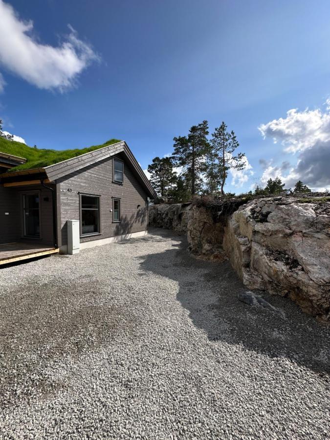 Modern Northern Lights Cabin Drangedal Exterior foto