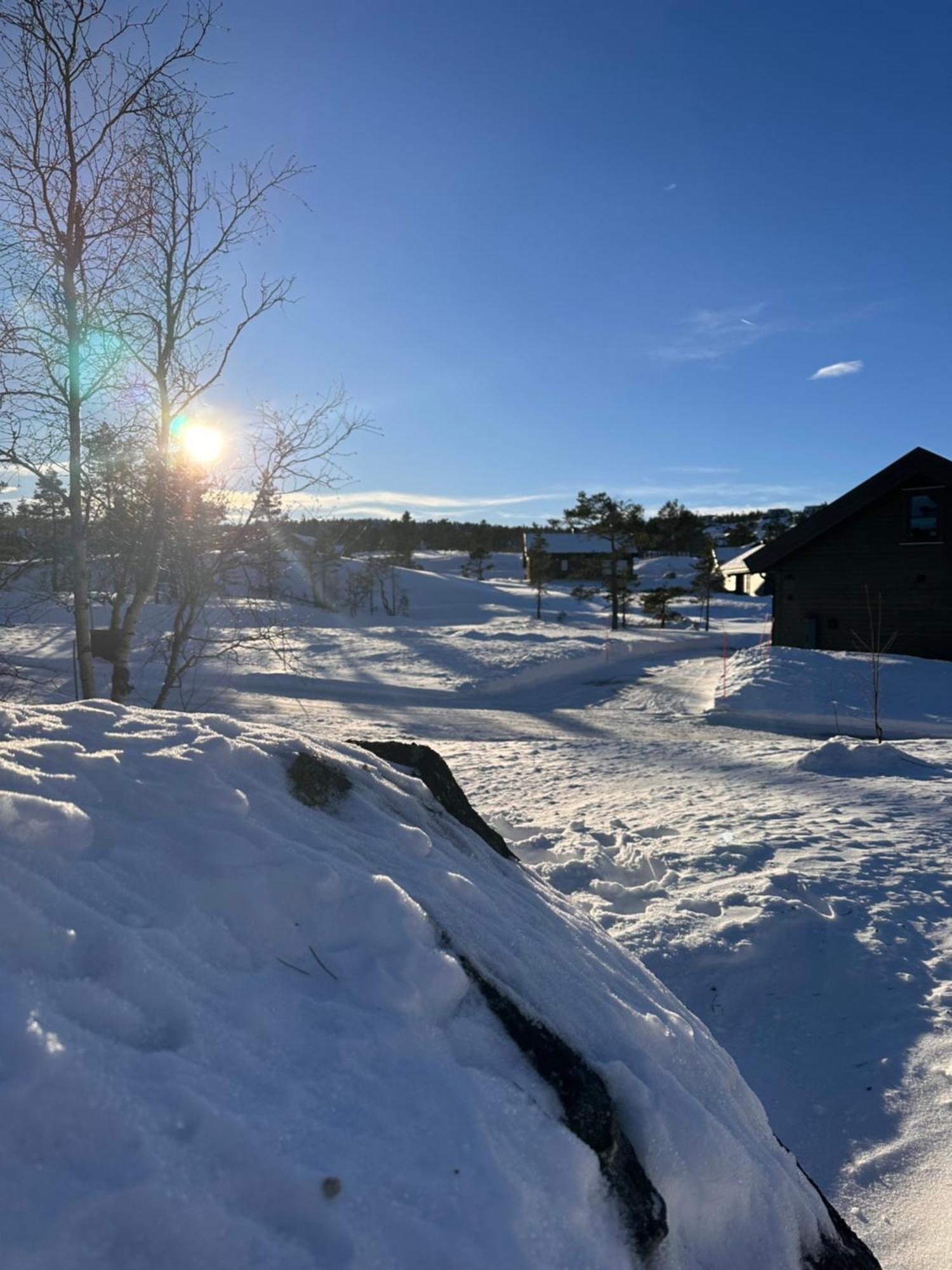Modern Northern Lights Cabin Drangedal Exterior foto