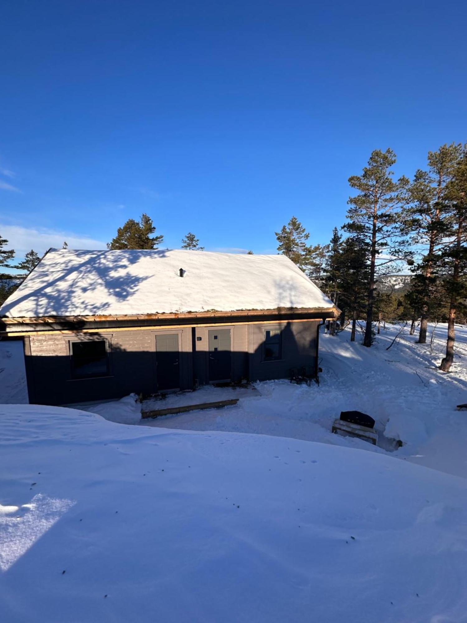 Modern Northern Lights Cabin Drangedal Exterior foto
