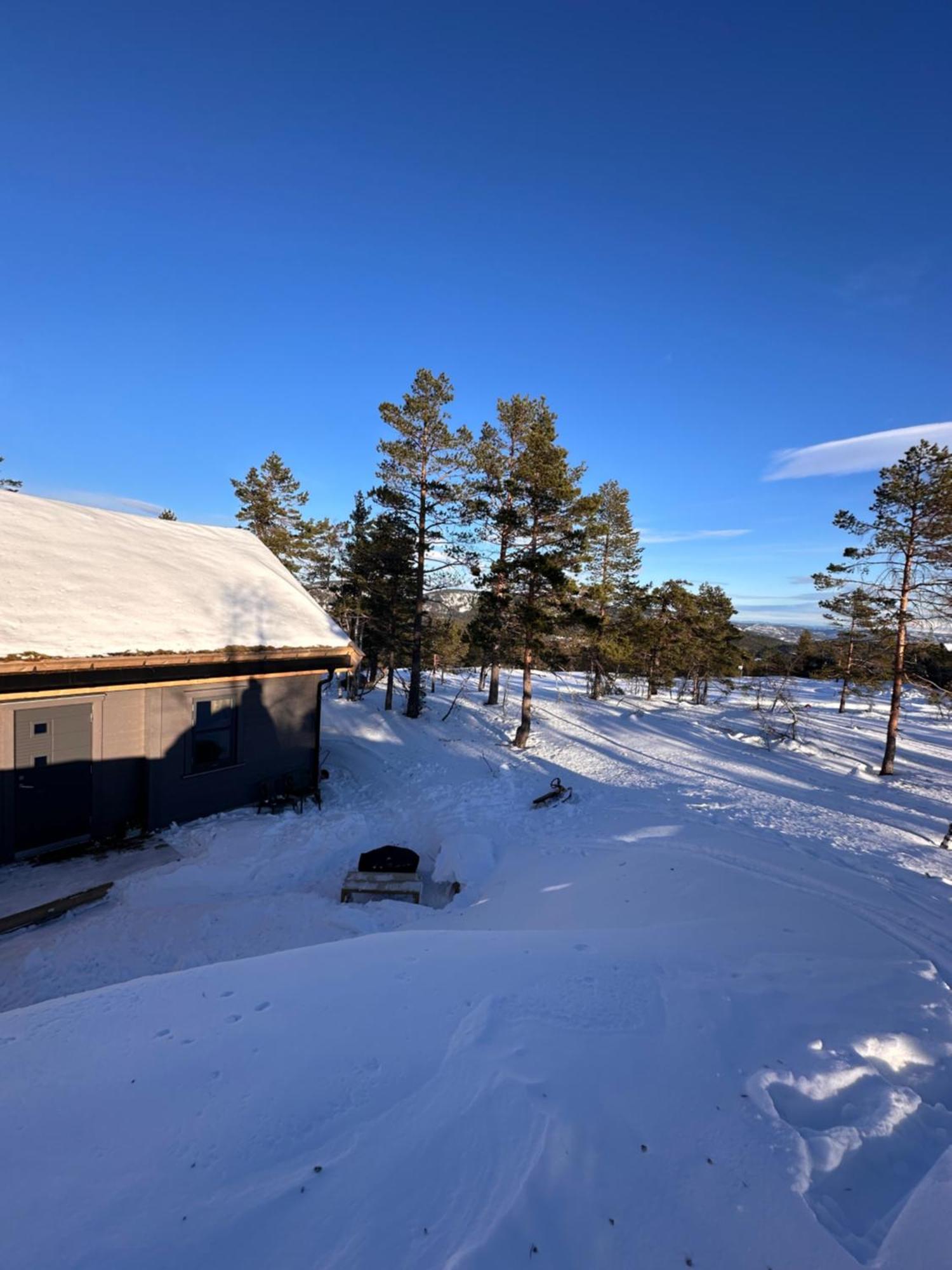 Modern Northern Lights Cabin Drangedal Exterior foto