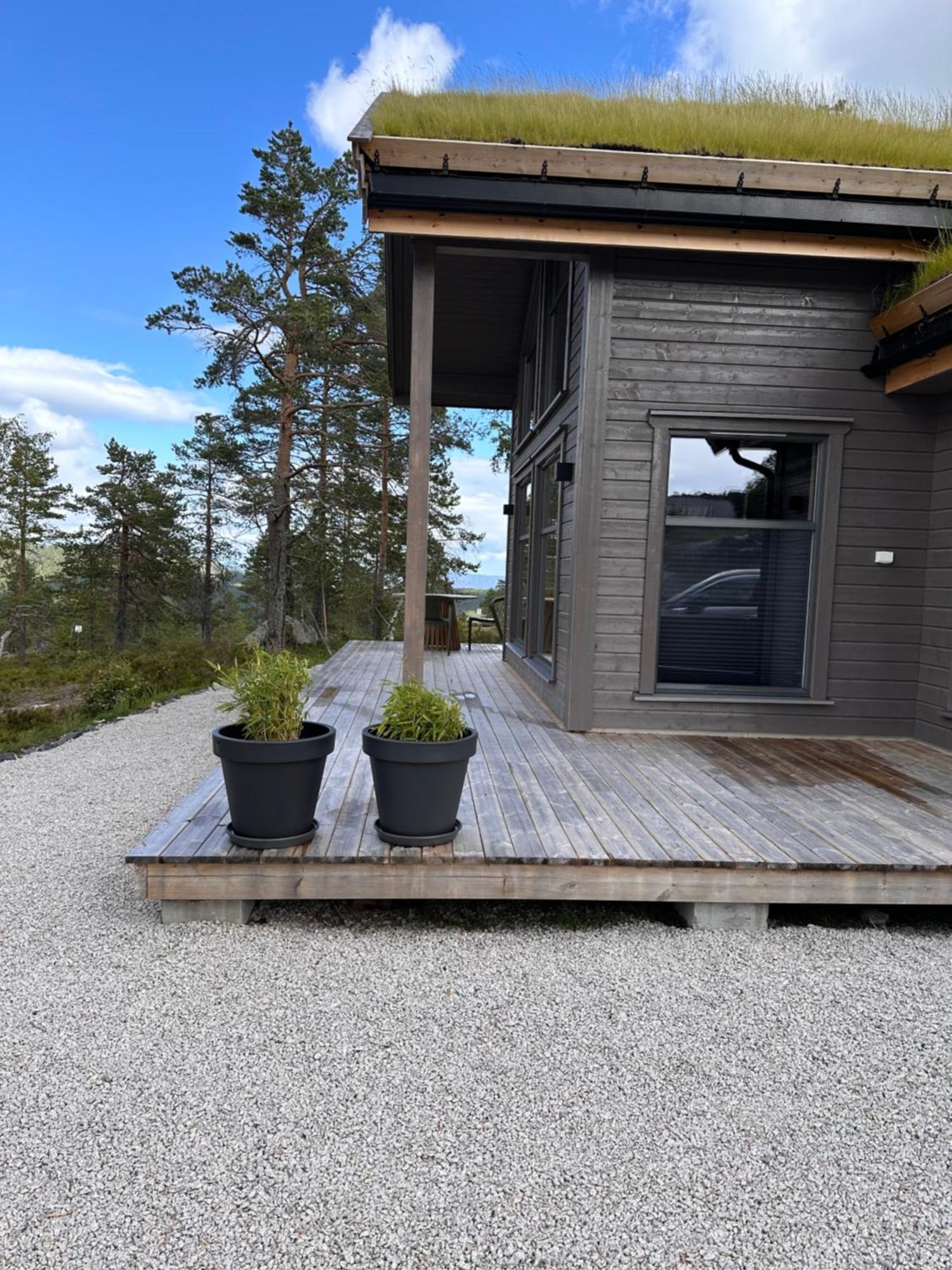 Modern Northern Lights Cabin Drangedal Exterior foto