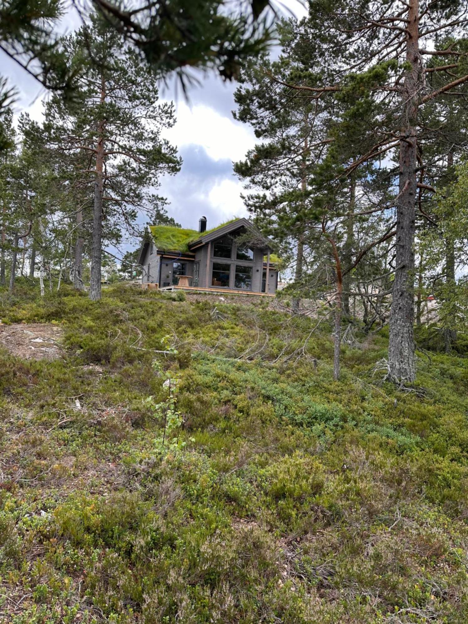 Modern Northern Lights Cabin Drangedal Exterior foto