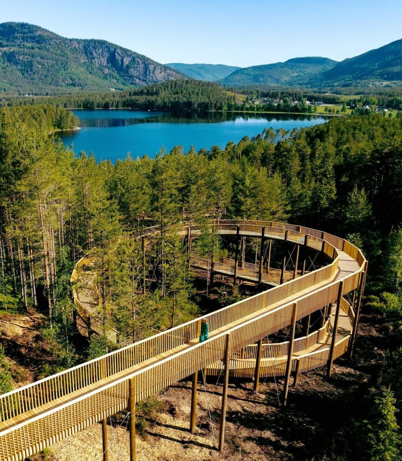 Modern Northern Lights Cabin Drangedal Exterior foto